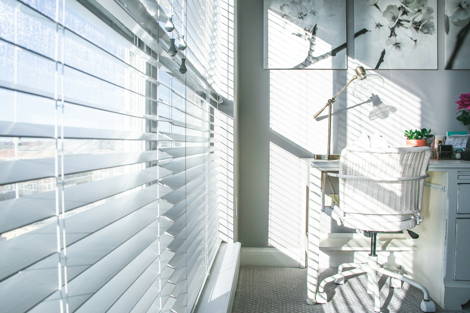 Roller blinds in a Parramatta home